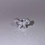 Butterfly adjustable ring