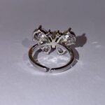 Butterfly adjustable ring