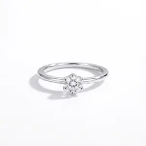 Dainty classic promise ring